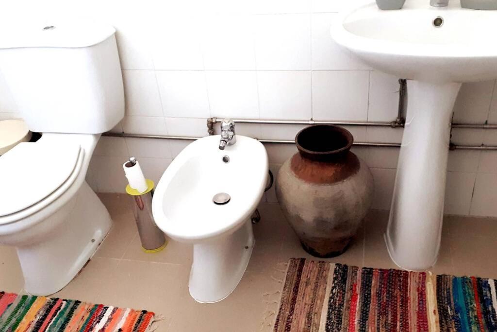 Appartement Casa dos Corações - Turismo Regenerativo à Beirã Extérieur photo